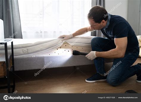 Bed Bug Infestation Treatment Service Bugs Extermination Stock Photo By