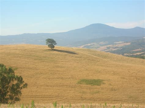 Fabio Pellegrini Notizie Dalla Val D Orcia Presentata A Pienza La