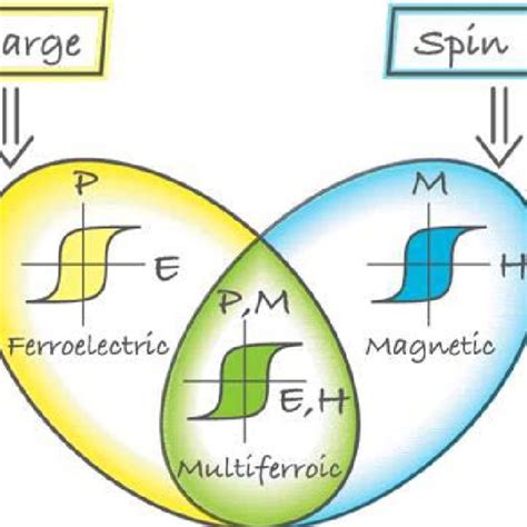 Multiferroic behavior | Download Scientific Diagram