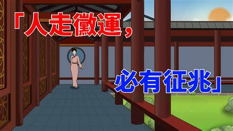 「人走黴運，必有征兆」：遇見這些怪現象，你一定要註意！【聚慧國學】國學識人術微表情面相學 Youtube