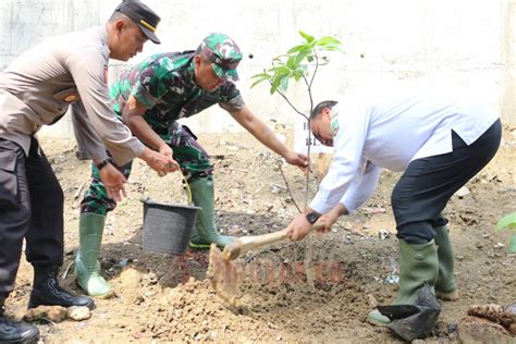 Hari Bhakti Pupr Bupati Tanam Pohon Di Daerah Rawan Longsor Kabar