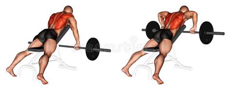 Exercising Barbell Incline Row Barbell Incline Row Exercising For