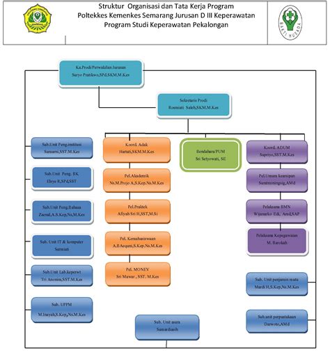 Struktur Organisasi Poltekkes Kemenkes Imagesee