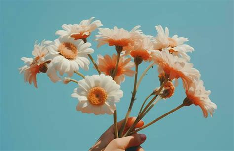 Aesthetic Flowers Stock Photos, Images and Backgrounds for Free Download