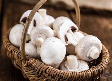 Whole White Mushroom Stock Photos Pictures And Royalty Free Images Istock