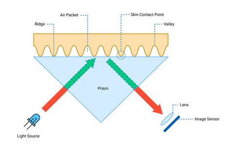 How Optical Fingerprint Scanners Work Using Adafruit And R X