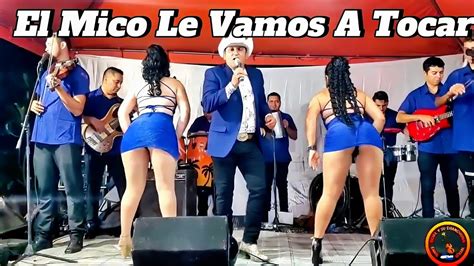 Ociel Y Su Chanchona El Mico Con Sabor Contratos Al 7408 8718 YouTube