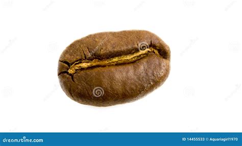 single bean stock image image  arabica espresso preparation