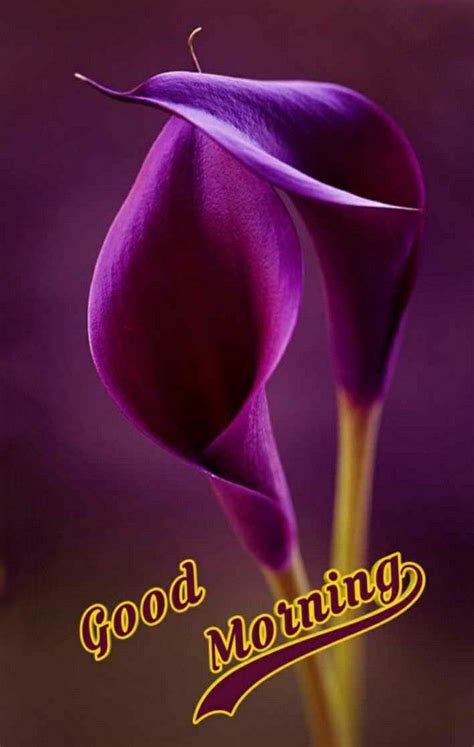 A Purple Flower With The Words Good Morning On It