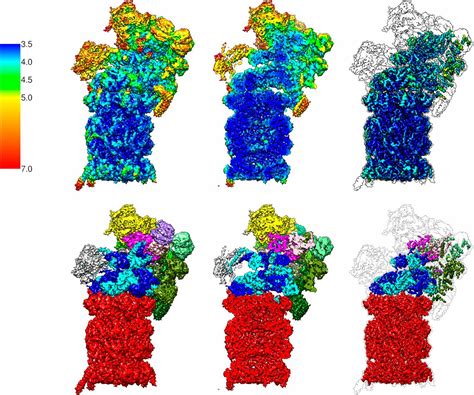 Structure Of The Human S Proteasome At A Resolution Of Pnas