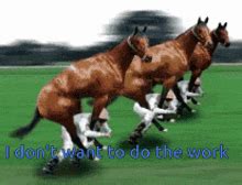 Animated Gif Horse GIFs | Tenor