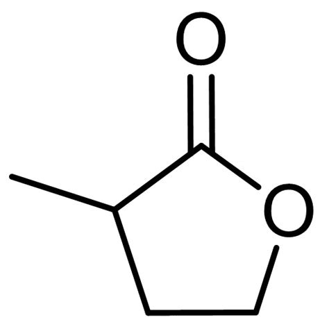 Alpha Methyl Gamma Butyrolactone BioRuler