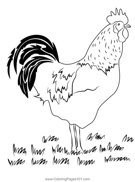 Standing Hen On Grass Coloring Page Printable Coloring Pages Coloring