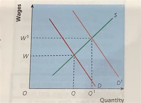 The Labour Market Flashcards Quizlet