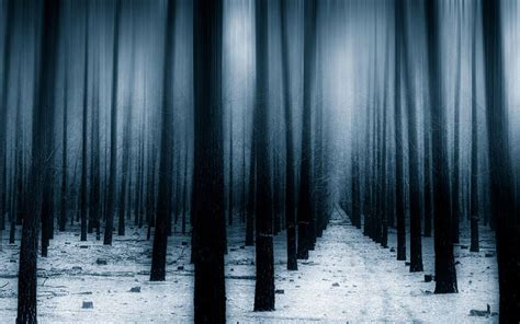 Dark Winter Forest Desktop Wallpapers - Top Free Dark Winter Forest Desktop Backgrounds ...