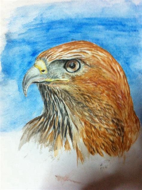 Hawk Watercolor Pencils Colorful Art Watercolor Pencils Watercolor