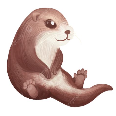 Sea Otter Png Picture Hand Painted Brown Cute Little Sea Otter Sea