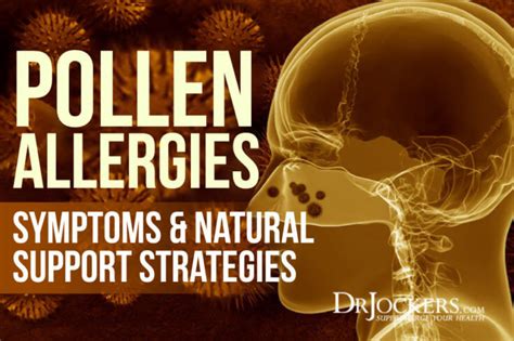 Pollen Allergies: Symptoms & Natural Support Strategies