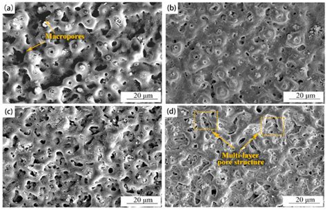 Coatings Free Full Text Effect Of Oxidation Time On The Structure