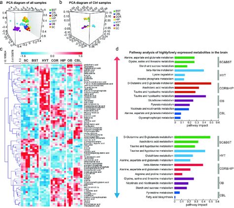 Metabolic Profiles Across Various Brain Regions A Three Dimensional Download Scientific