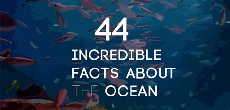 We have created this list of interesting facts about the ocean to ...