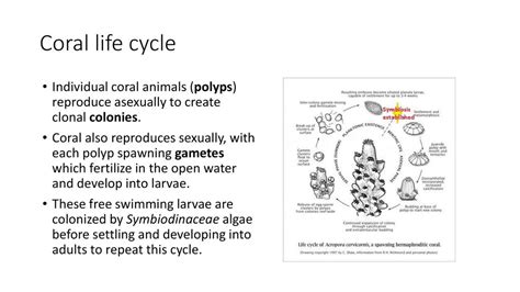 Genetics Lab Spring Ppt Download