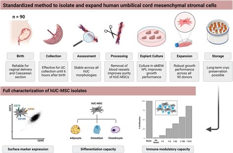 A Robust And Standardized Method To Isolate And Expand Mesenchymal