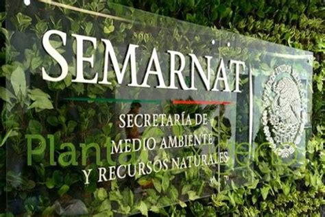 Se Suman Trabajadores De Veracruz A Paro Nacional De Semarnat Palabrasclarasmx