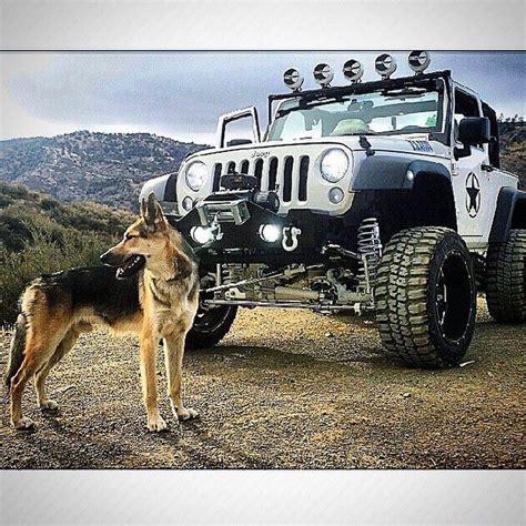 Pin By Sonni Ann Gavin On German Shepherdpart 36 Monster Trucks