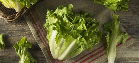 What Is Escarole Lettuce? Benefits, Nutrition and Recipes - Dr. Axe