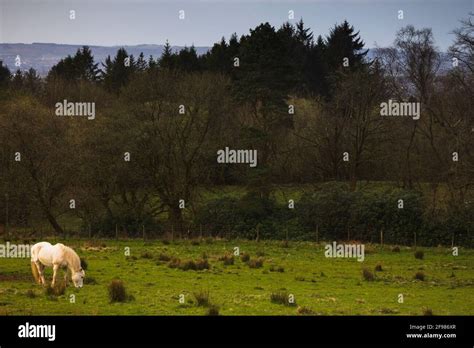 Scottish Highland Scene Stock Photo - Alamy