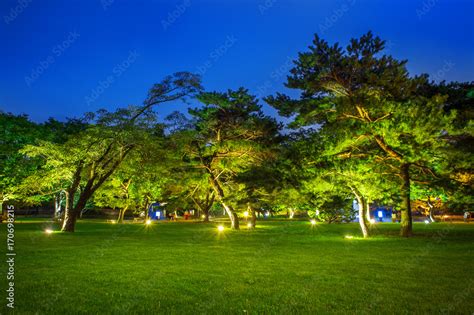 Park at night. Stock Photo | Adobe Stock