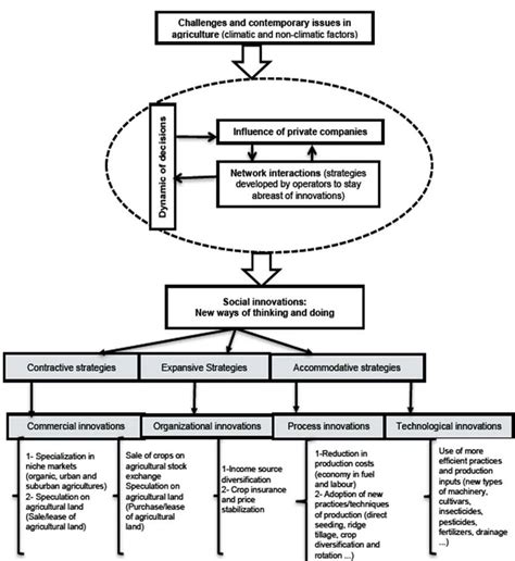 Theoretical Framework Of Farmers Strategies To Address Challenges And