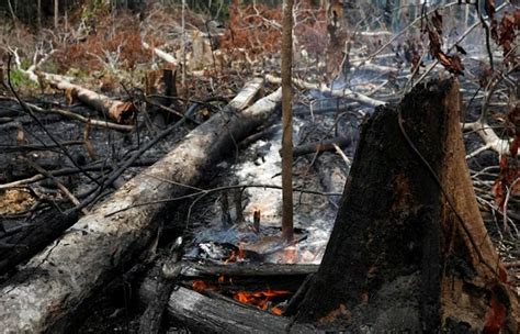 Incendios La Amazonía y el Pantanal continúan asediados por el fuego