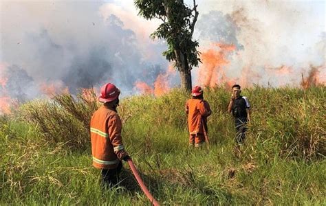 Sejak Awal 2024 700 Hektare Hutan Dan Lahan Terbakar Di Natuna