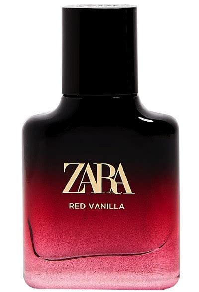 10 Best Zara Perfumes For Women Reviewed Viora London