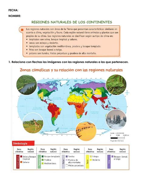 Conoce Las Características De Las Regiones Naturales Guía Completa