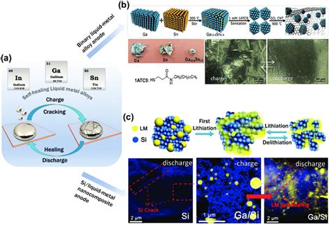 Self-healing approaches employing low-melting liquid metal alloy anodes... | Download Scientific ...