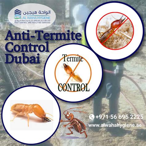 What Should You Expect From A Professional Pest Control Dubai For Anti