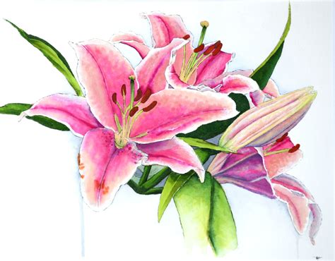 Pink Lilies 8 X 10 Original Watercolor Illustration Etsy