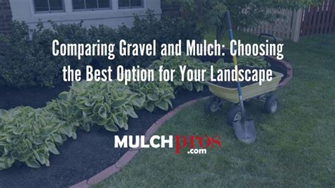 Gravel Vs Mulch What Is Better For Your Landscaping