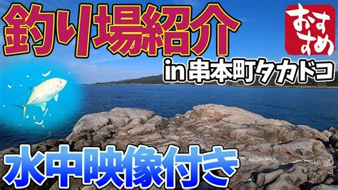 【釣り場紹介】和歌山県 串本町【タカドコ】おすすめ、グレ、アオリイカ、キジハタ、石鯛、青物等が釣れるポイント 水中映像有り Youtube