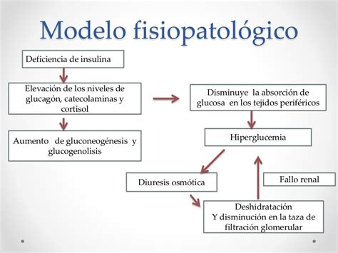 S Ndrome Hipergluc Mico