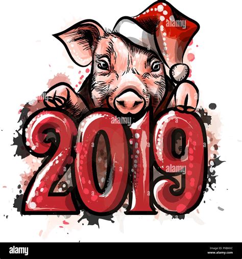 Chinese Zodiac Sign Year Of Pig Happy Chinese New Year Year Of