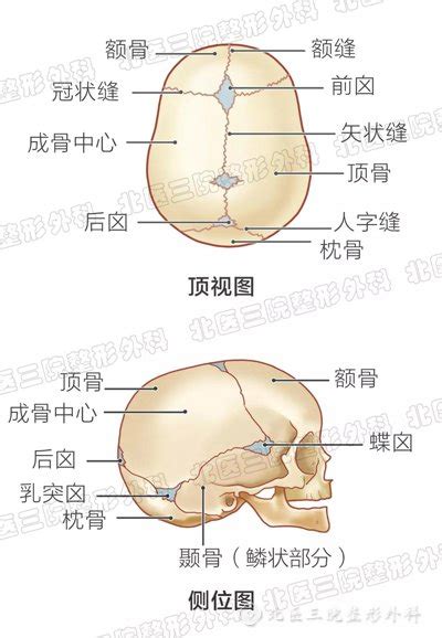 宝宝头型歪了，是睡姿出了问题畸形