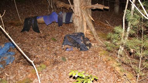 Unidentified Body Found In Wooded Area Of Western Nc Wsic Local