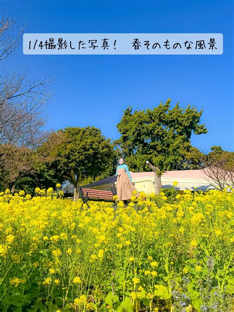 1月なのに春先取り💛菜の花がもう見頃！2万株も咲く【ニューヨークランプミュージアムandフラワーガーデン 西村華奈穂が投稿したフォトブック Lemon8