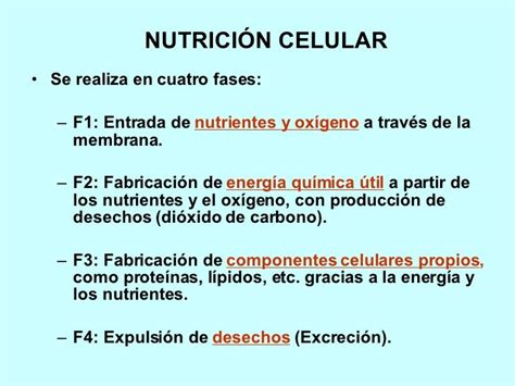 Nutricion Celular