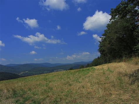 Jakobus H Gel Wald Wiese Wolken Bernd Brang Flickr