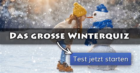 Das Gro E Winterquiz